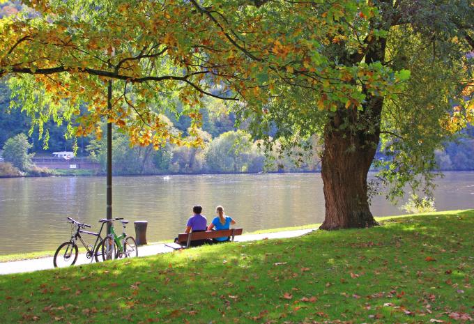 Entlang des Mosel-Radweges von Trier nach Kreis-Traden - Radtour