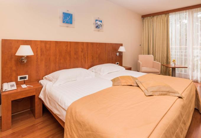 Zimmerbeispiel, Doppelzimmer (DZ) „Classic Parkblick C2P“