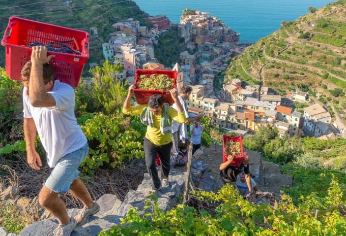 Italien - Riviera di Levante - Wanderreise