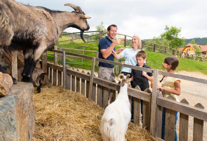 Pöllau bei Hartberg