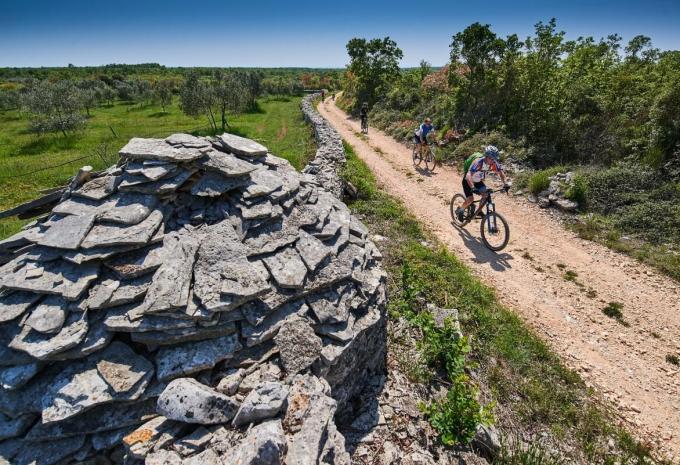 Von Triest nach Pula - Radtour