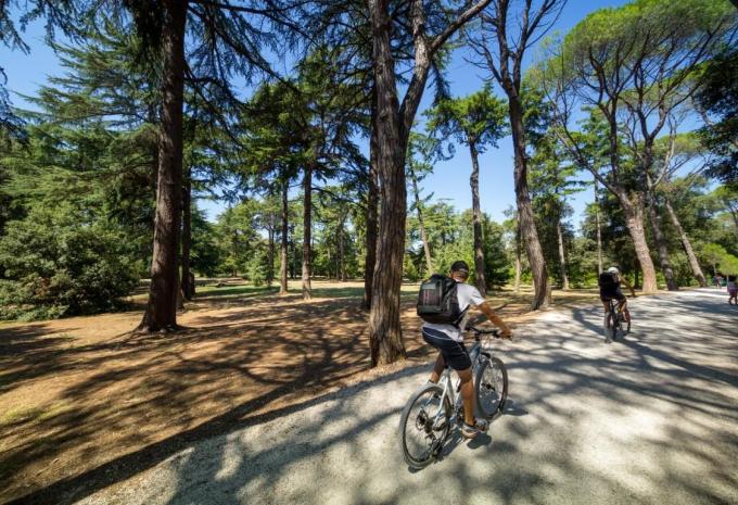 Von Triest nach Pula - Radtour