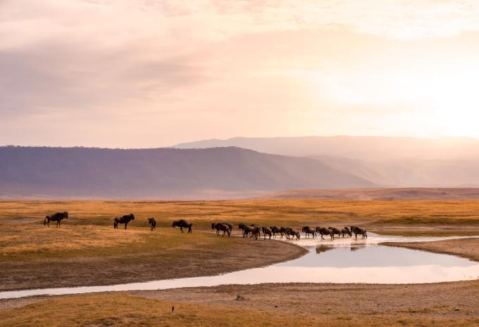 Ngorongoro Krater