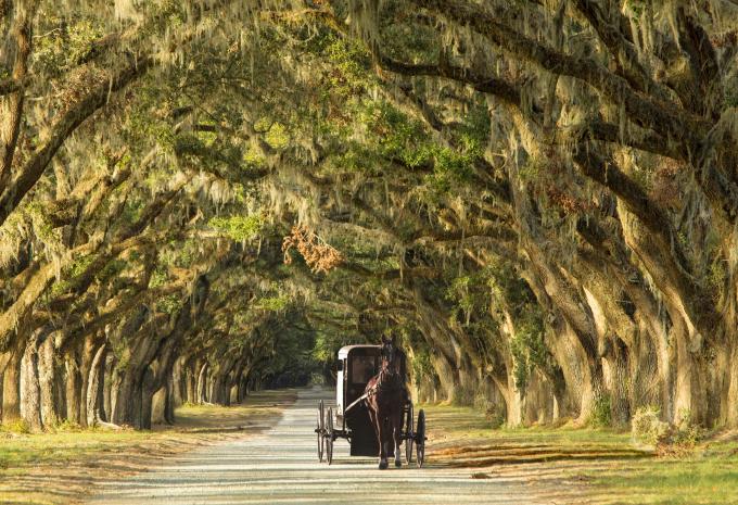 Texas & die Südstaaten - Rundreise