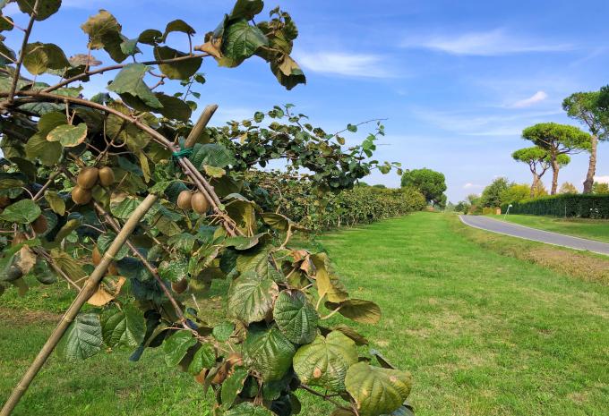 Von Venedig nach Florenz - Radtour