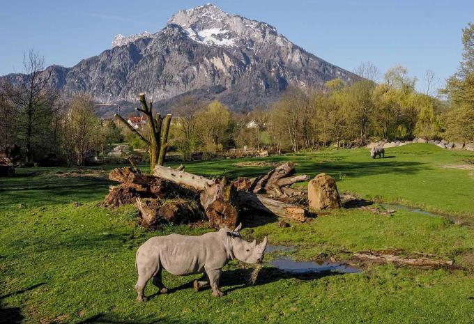 Zoo Hellbrunn Salzburg