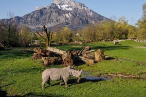 Zoo Hellbrunn Salzburg