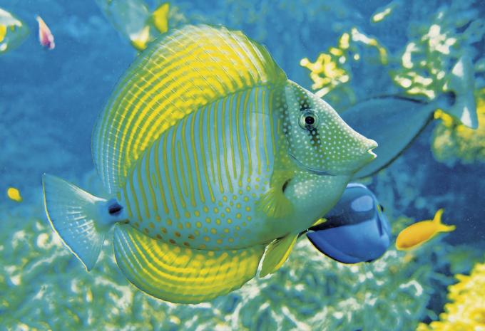 Tiergarten Schönbrunn