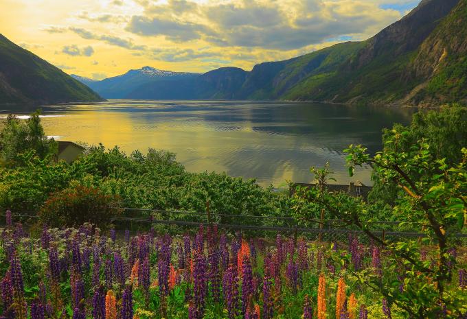 Spektakuläres Fjordnorwegen