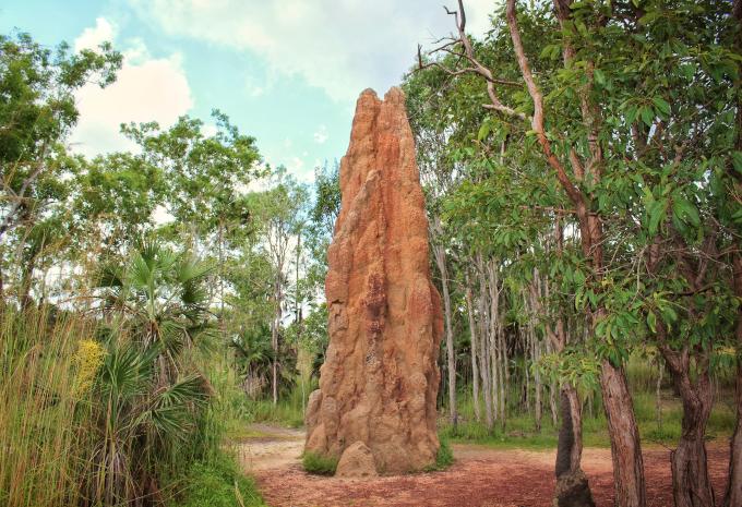 Litchfield National Park