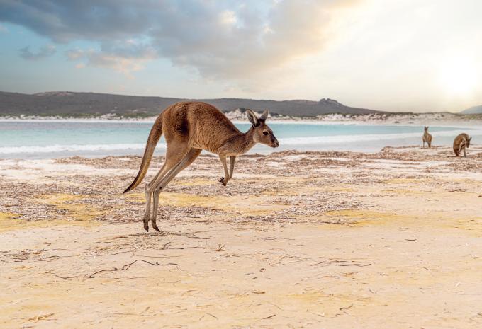 Kangaroo Island