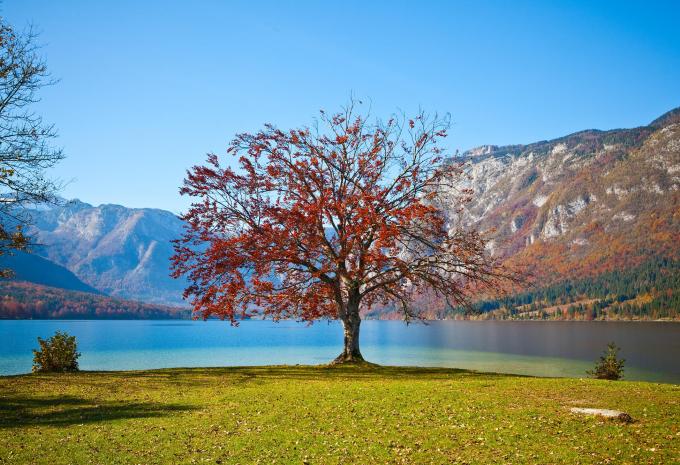 Durch den slowenischen Triglav-Nationalpark - Mountainbike-Tour