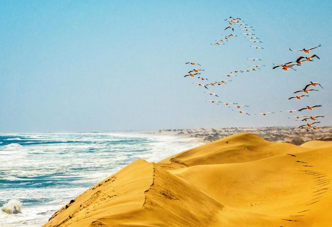 Von Lissabon nach Südafrika - Luxuskreuzfahrt, Rundreise & Safari