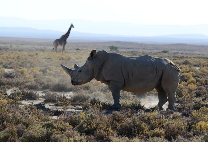 Sansibar & Serengeti - Safari & Baden
