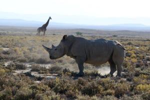 Sansibar & Serengeti - Safari & Baden