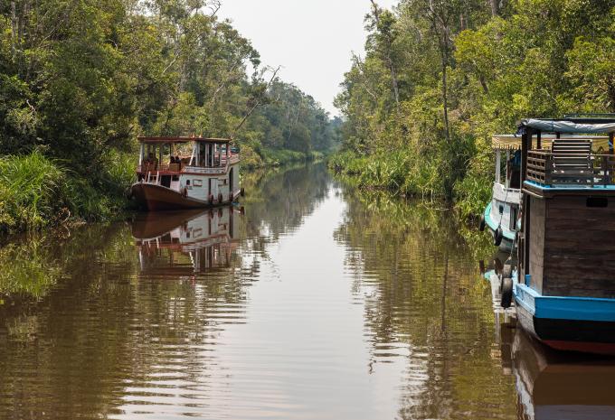 Orangutan - Java - Bali - Rundreise