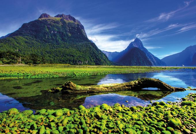 Milford Sound