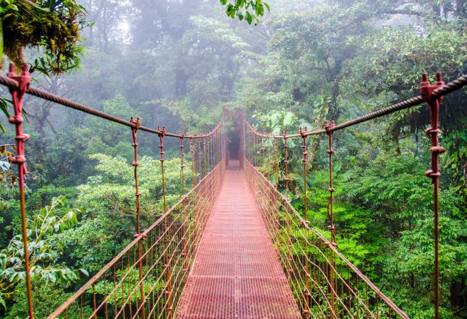 Hängebrücken im Nebelwald in Costa Rica