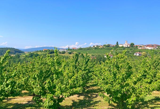 Durch das bezaubernde Friaul - Radtour