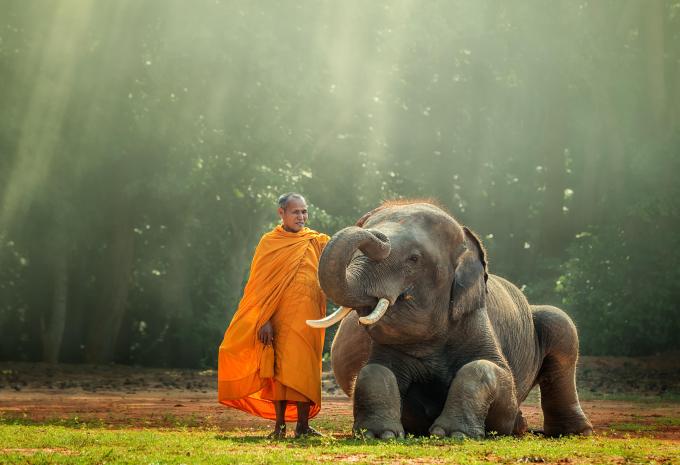 Asiens Juwelen - Kreuzfahrt