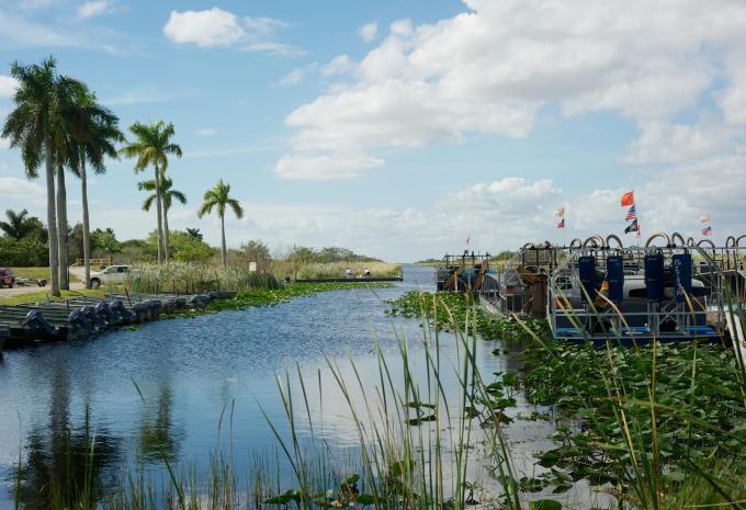 Everglades 