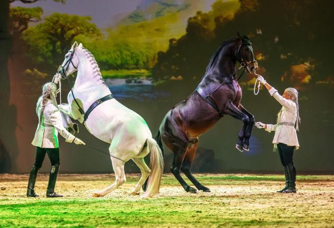 CAVALLUNA - Tor zur Anderswelt