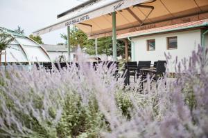 Hotel Aquasol Resort ****