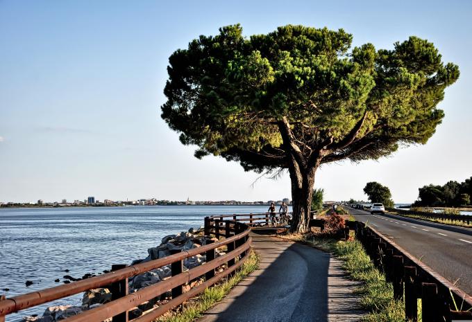 Alpe Adria - Radtour