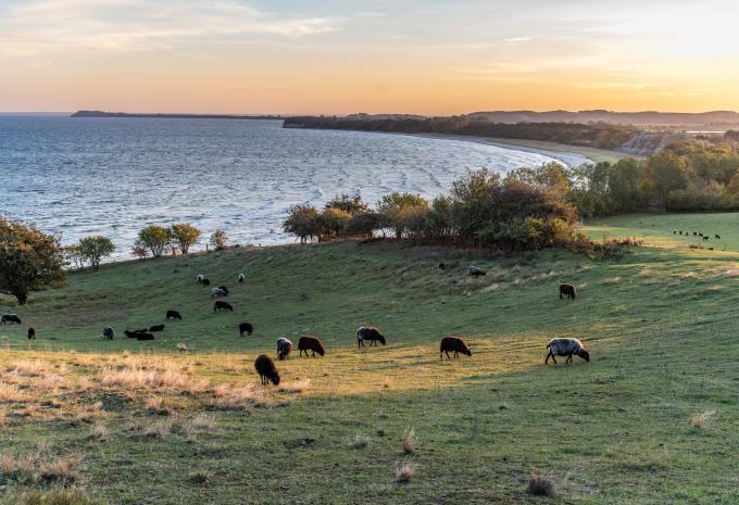 Ostsee - Göhren-Rügen