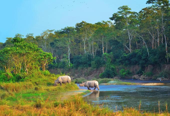 Chitwan-Nationalpark