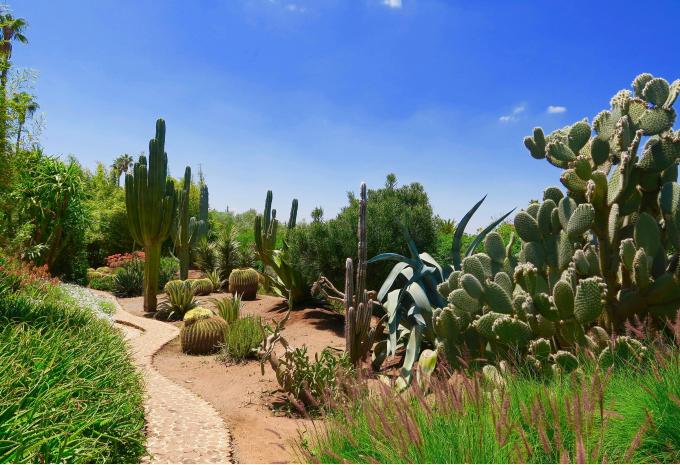 Königsstädte & Wunder des Südens - Marokko