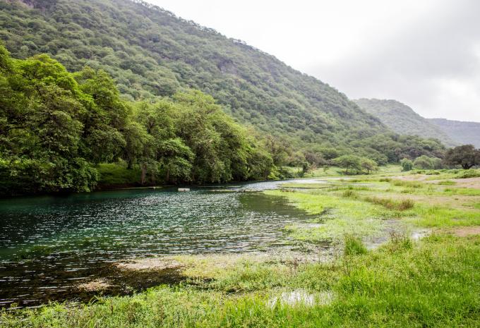 Wadi Darbat, Salalah