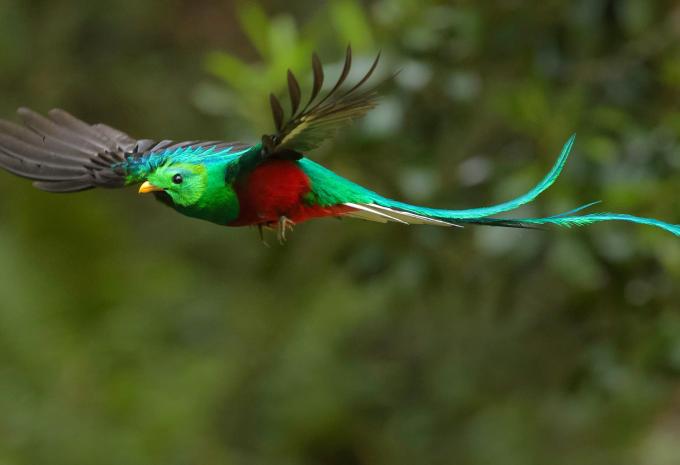 Mexiko - Guatemala - Belize Rundreise & Baden "Auf den Spuren der Maya"