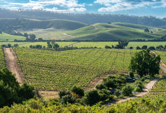 Casablanca, Valparaiso