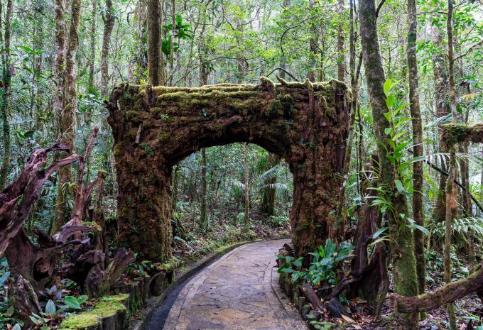 Botanischer Garten Kinabalu