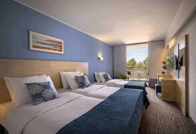 Zimmerbeispiel, Doppelzimmer (DZ) „Parkseite 2+1 Balkon ST3PB“