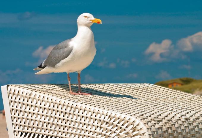 Insel Sylt - Westerland