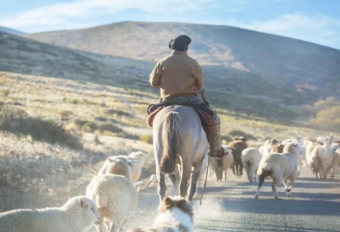 Argentinien - Patagonien Rundreise & Trekking