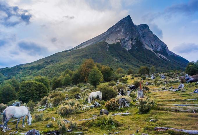 Tierra del Fuego Nationalpark