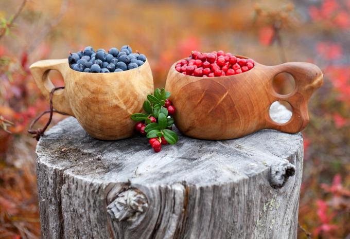 Erlebnisreise Lappland