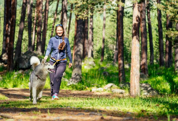 Erlebnisreise Lappland
