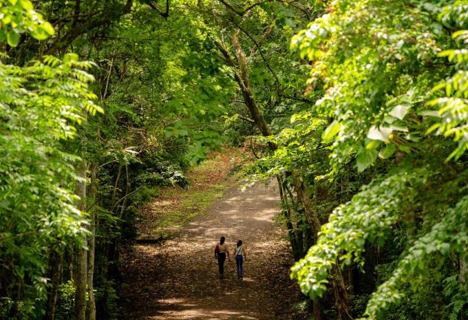 National Park Metropolitano, Panama City