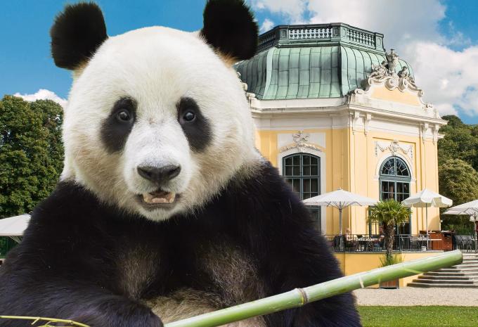 Wien