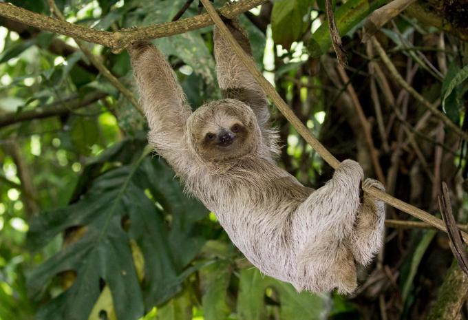 Costa Rica - Rundreise & Baden