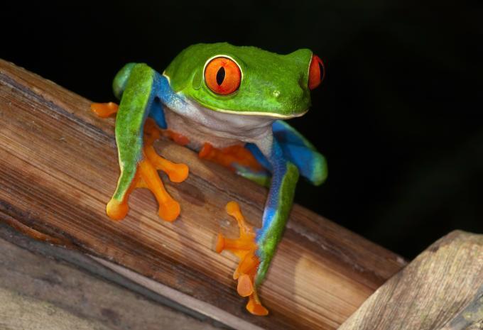 Costa Rica - Rundreise & Baden