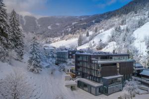 Hotel Der Waldhof, Zell am See