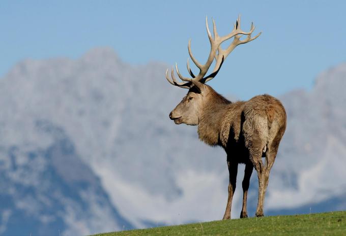 Aurach bei Kitzbühel