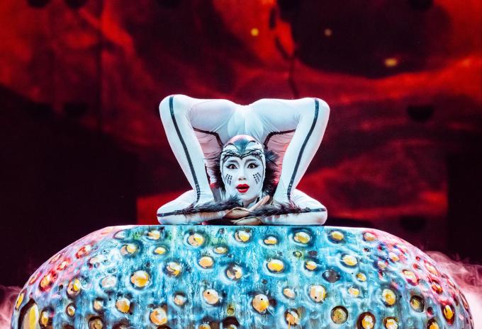 Cirque du Soleil OVO