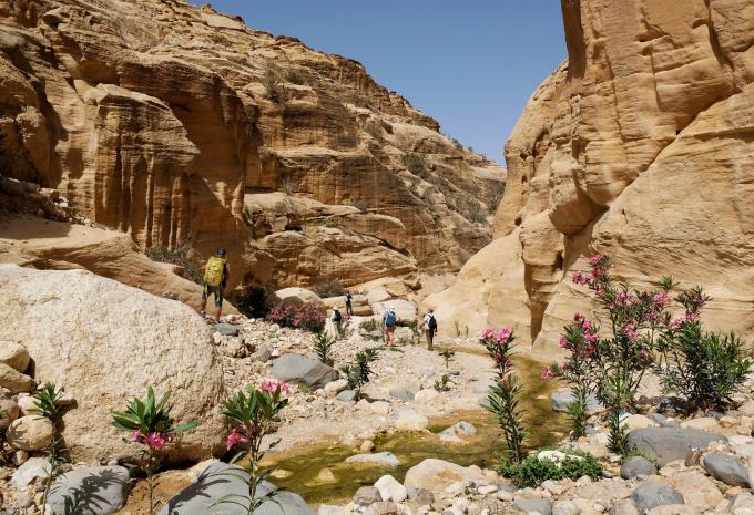 Biosphären Reservat, Dana