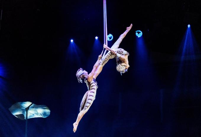 Cirque du Soleil OVO